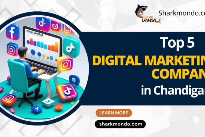 Top 5 Digital Marketing Company in Chandigarh