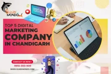 Digital Marketing Company in Chandigarh