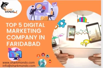 digital marketing company in Faridabad