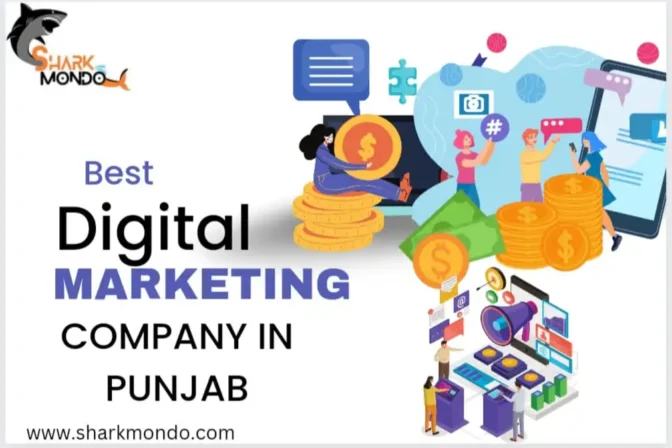 Top 5 Digital Marketing Company in Punjab