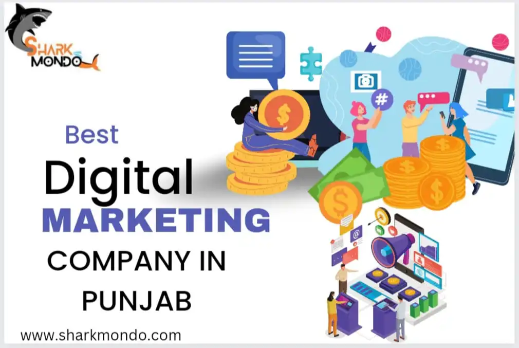 digital marketing company in punjab