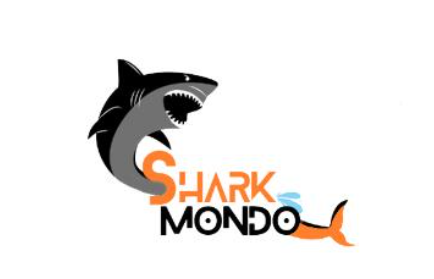 Shark mondo is the Digital Marketing Company in Central Delhi
