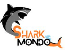 shark mondo is the best digital marketing company in north Delhi, 
