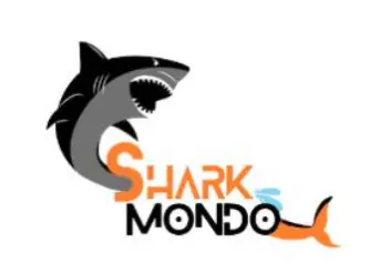 shark mondo Digital Marketing Agency in Adarsh Nagar